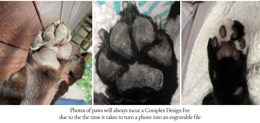 Paw photos A